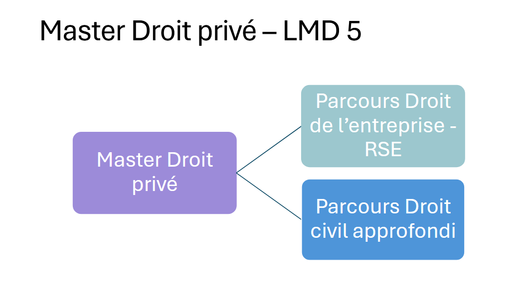 Schéma général du master droit privé