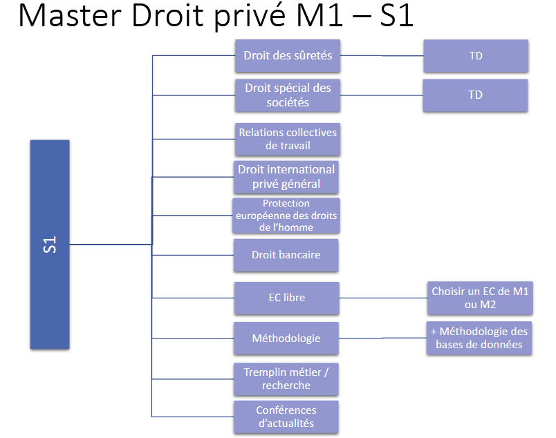 Schéma master droit privé S1