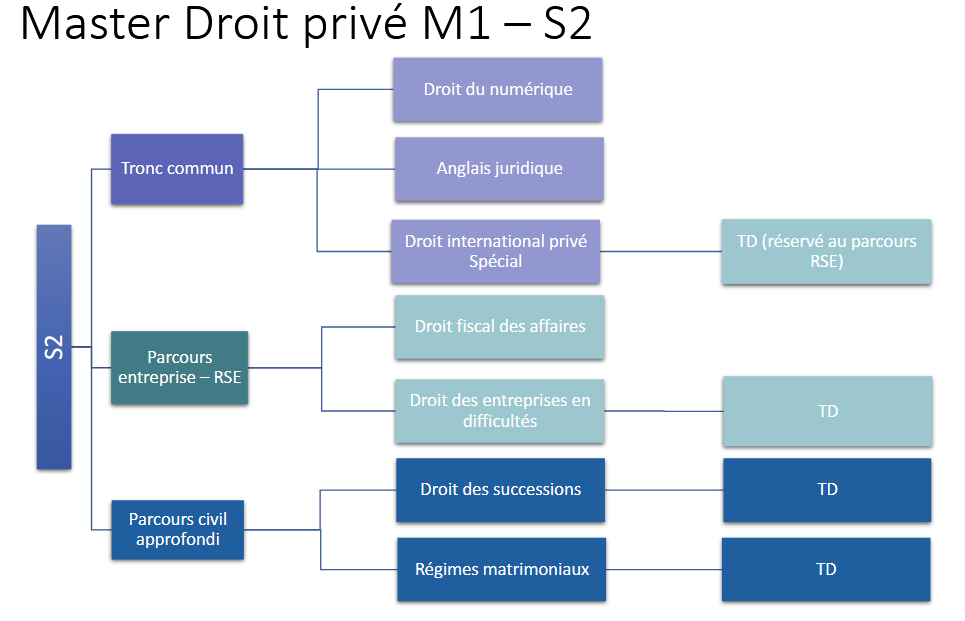 Schéma master droit privé S2