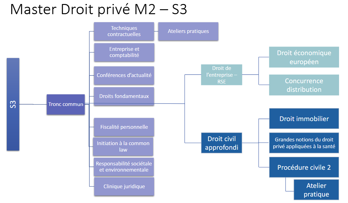 Schéma master droit privé S3
