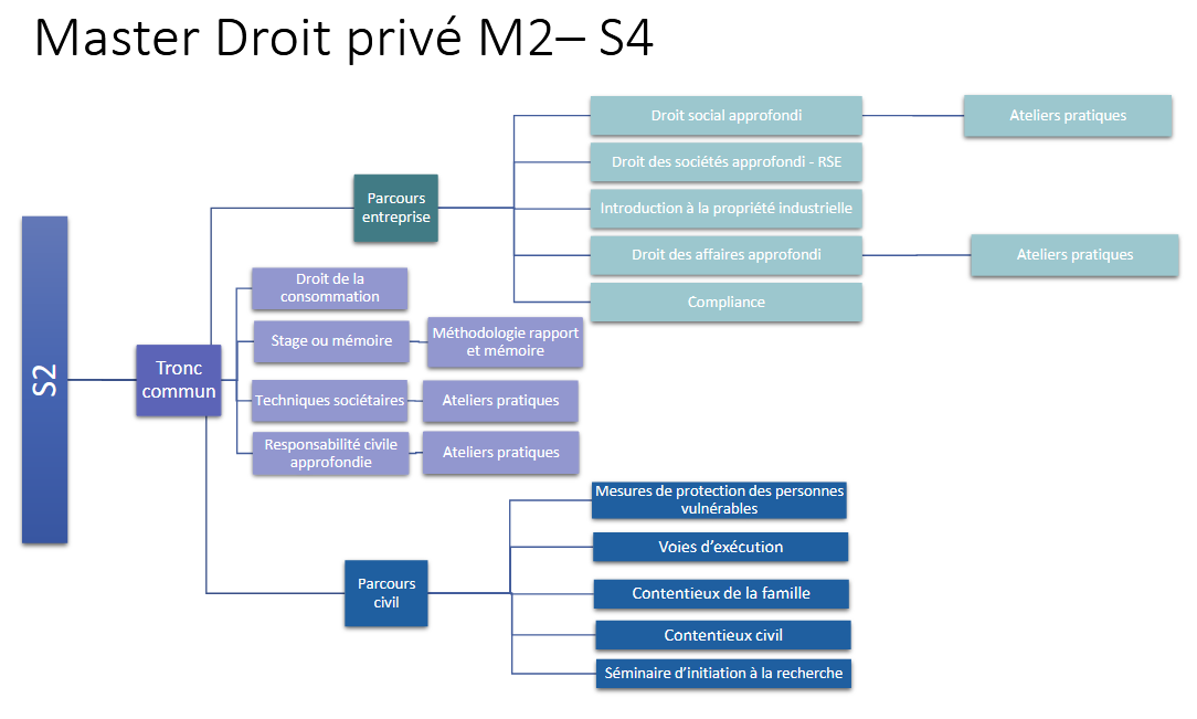 Schéma master droit privé S4